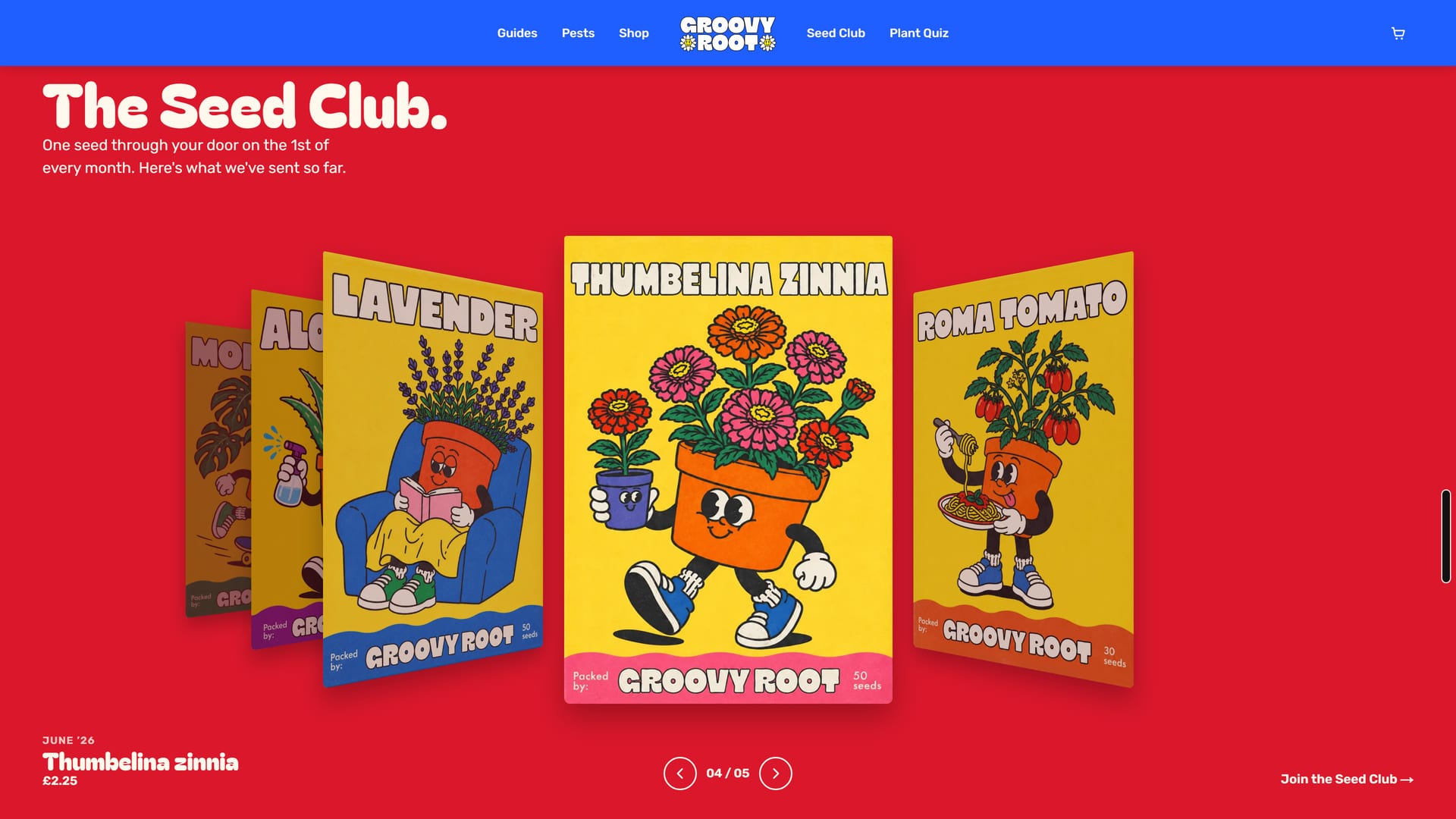 The Seed Club on red: a fan of illustrated seed packets, Thumbelina zinnia in front